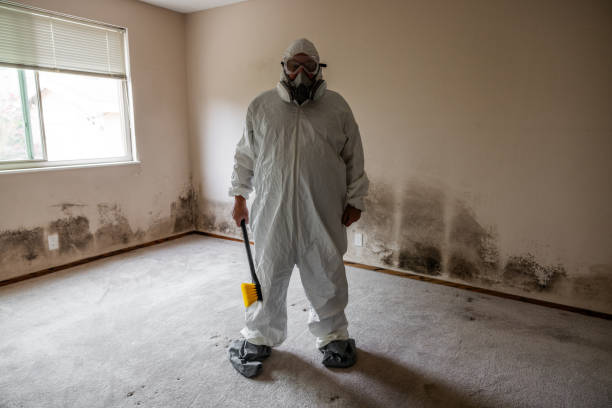 Best Asbestos and Lead Testing During Mold Inspection  in Williams, OR