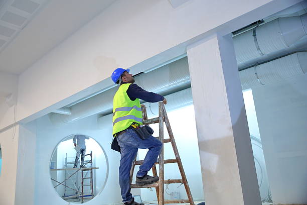 Best Water Damage & Mold Remediation  in Williams, OR