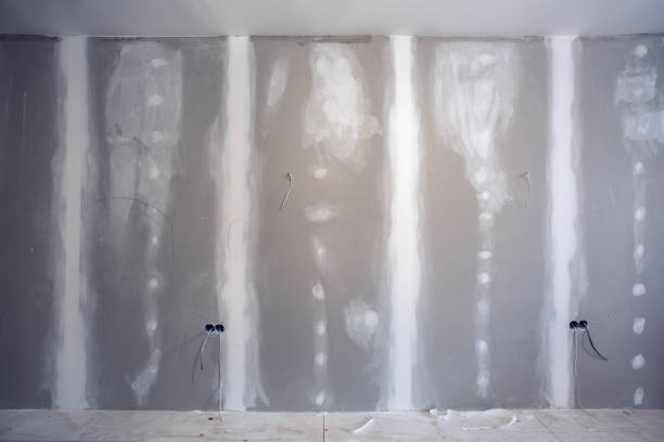 Best Basement Mold Removal  in Williams, OR
